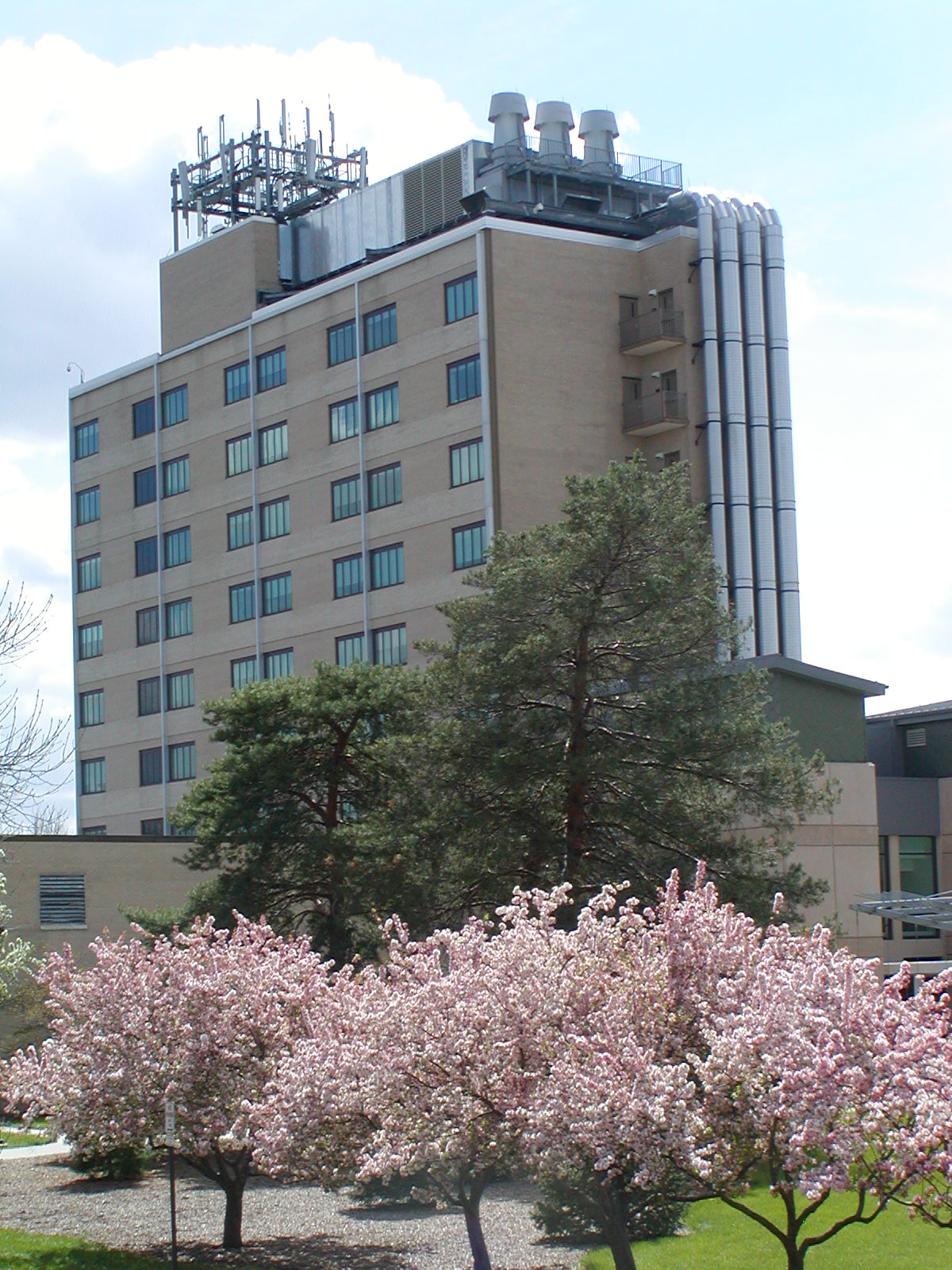 School of Natural Resources