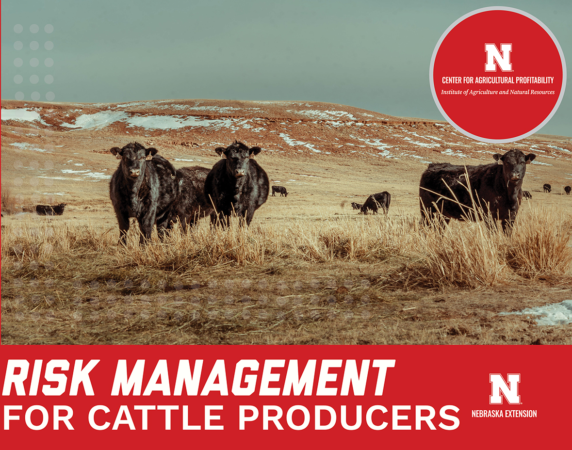 Cattle risk management workshops scheduled