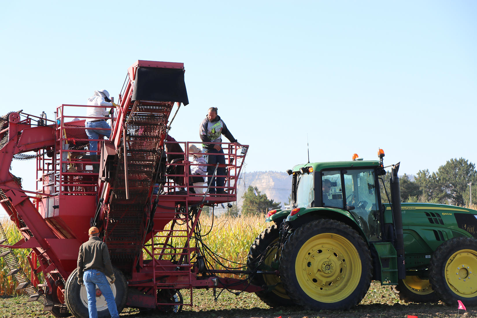 New herbicide coming for sugar beets