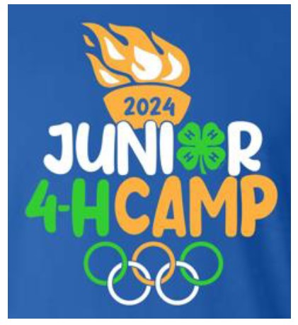 Junior 4-H Camp