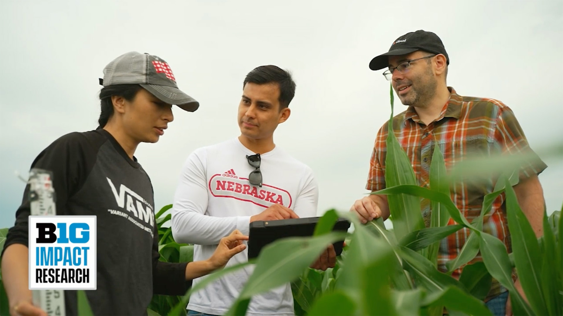 B1G Impact Research: Corn Genetics