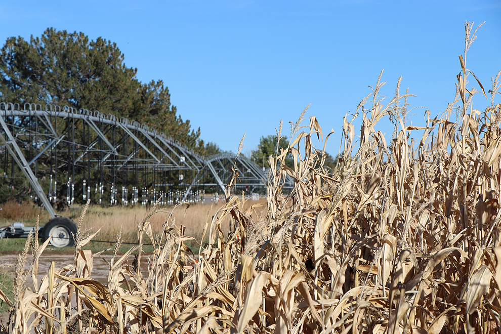 Grain Marketing workshop scheduled in Oshkosh