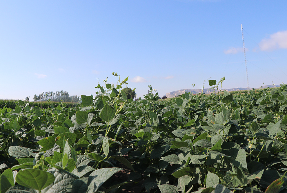 Crop Production Clinic scheduled in Scottsbluff