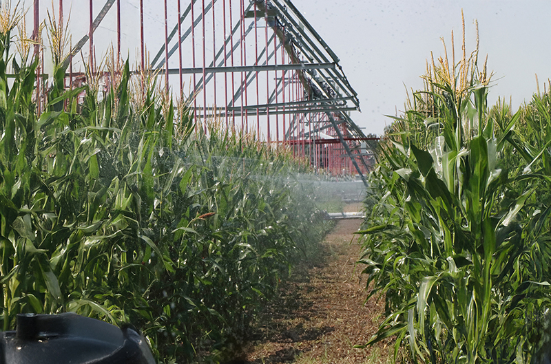 Master Irrigator Design Summit scheduled in Scottsbluff