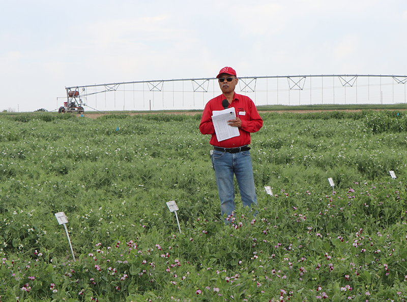 2025 Wheat Variety Tour: An update on alternative crops