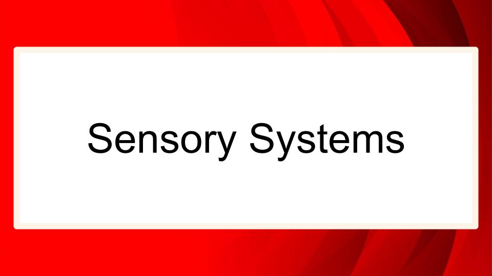 Module: Sensory, Emotional and Behavioral Regulation for Middle and High School Students - Micro Lesson: Sensory Systems (10 min)