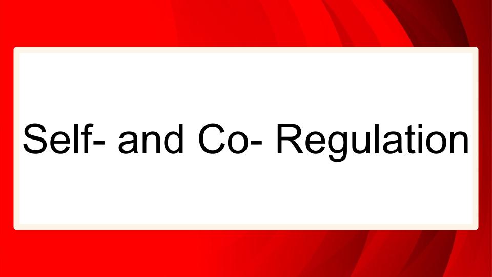 Module: Sensory, Emotional and Behavioral Regulation for Middle and High School Students - Micro Lesson: Self- and Co- Regulation (4 min)