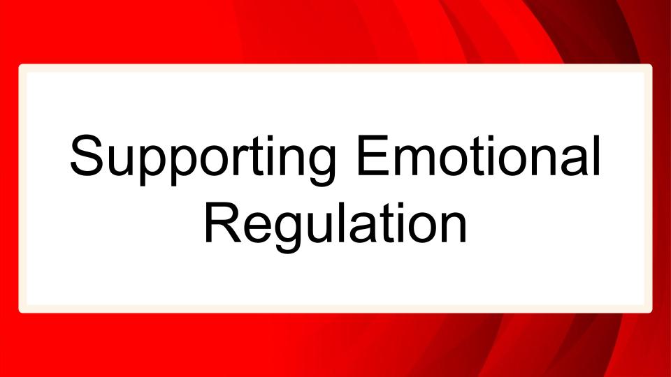 Module: Sensory, Emotional and Behavioral Regulation for Middle and High School Students - Micro Lesson: Supporting Emotional Regulation (3 min)