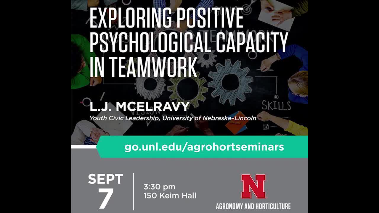 Exploring Positive Psychological Capacity in Teamwork