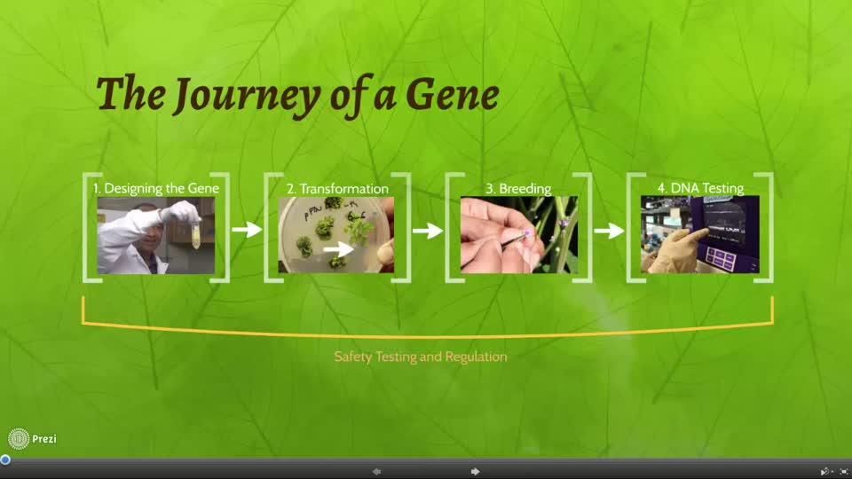Intro to the Journey of a Gene - SDS