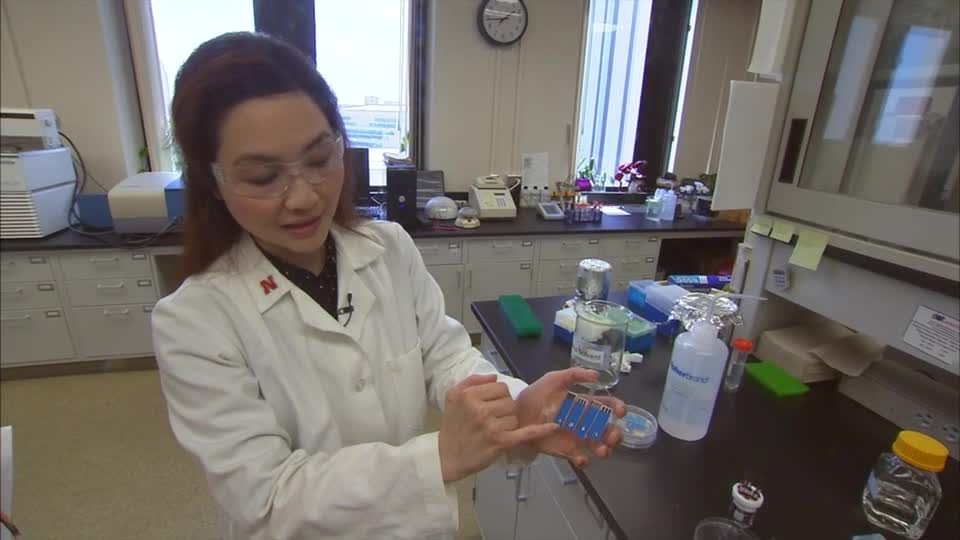 Rebecca Lai: Chemistry Magic