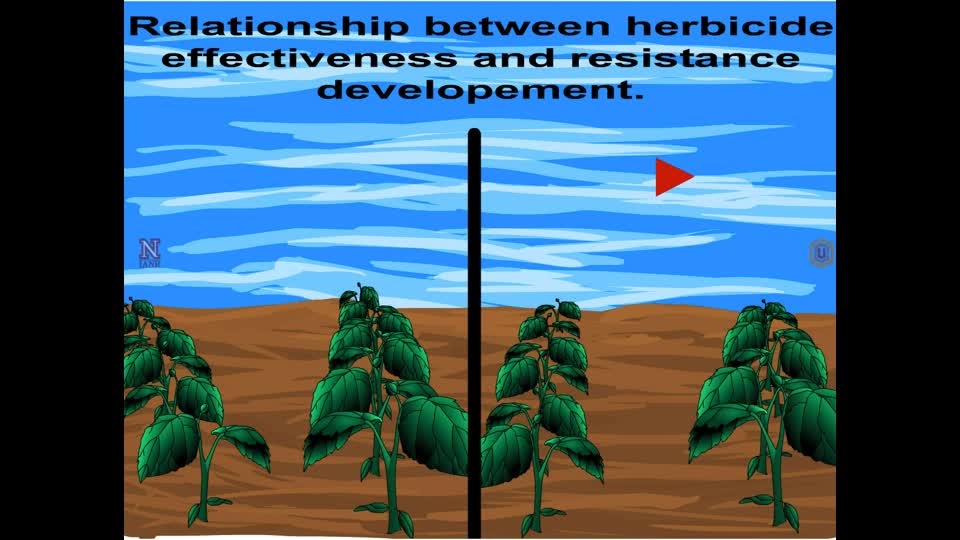 Relationship Between Hericide Effectiveness and Resistance Development