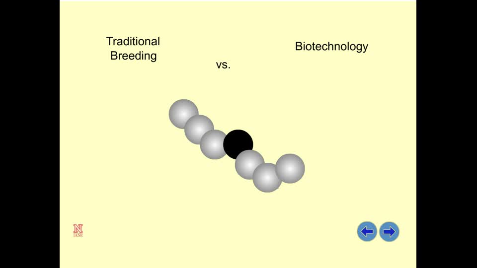 Traditional Breeding vs. Biotechnology