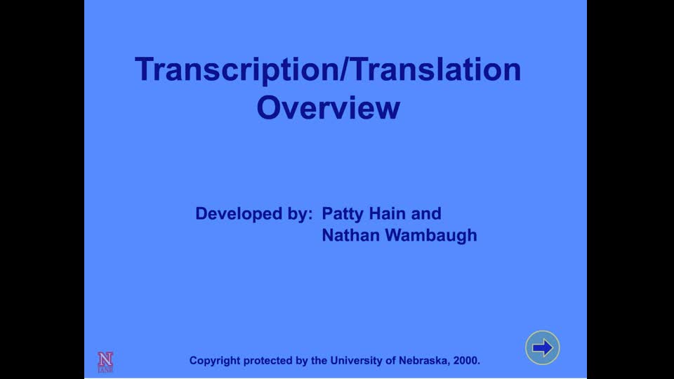 Transcription/Translation Overview