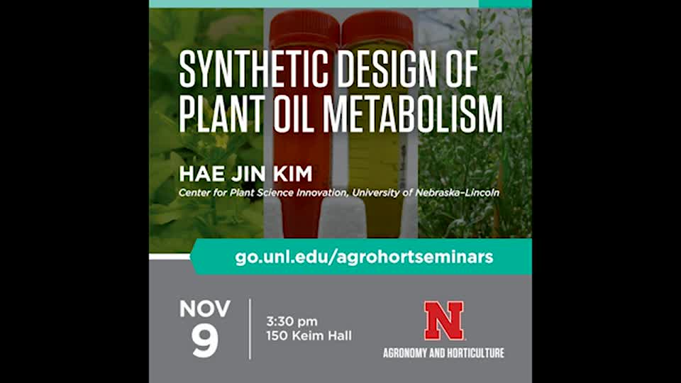 Synthetic Design of Plant Oil Metabolism