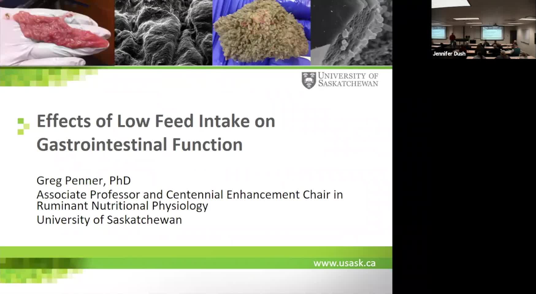 Effects of Low Feed Intake on Gastrointestinal Function