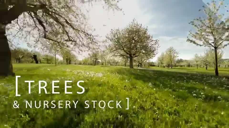 Sensitive Sites: Trees