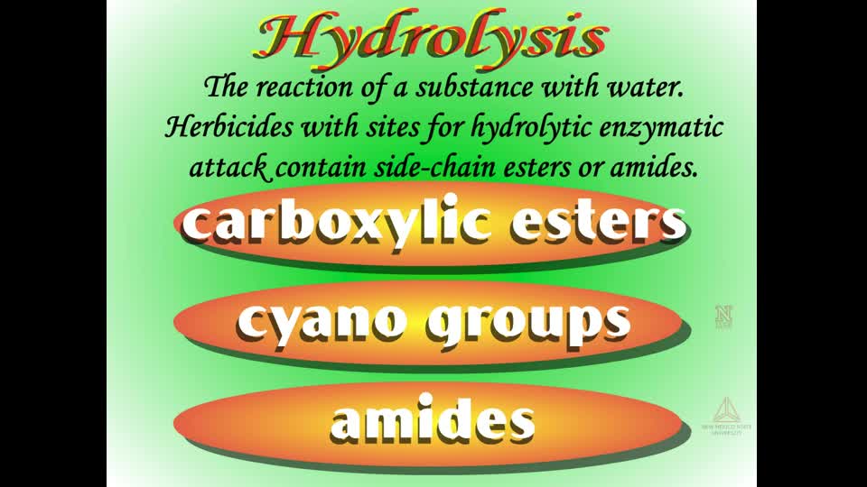 Herbicide Metabolism - Hydrolysis