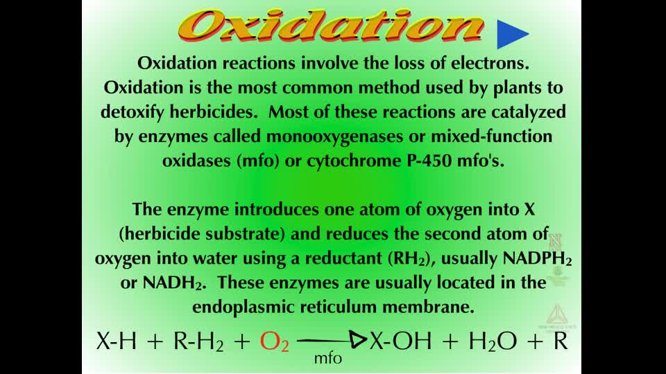 Herbicide Metabolism - Oxidation