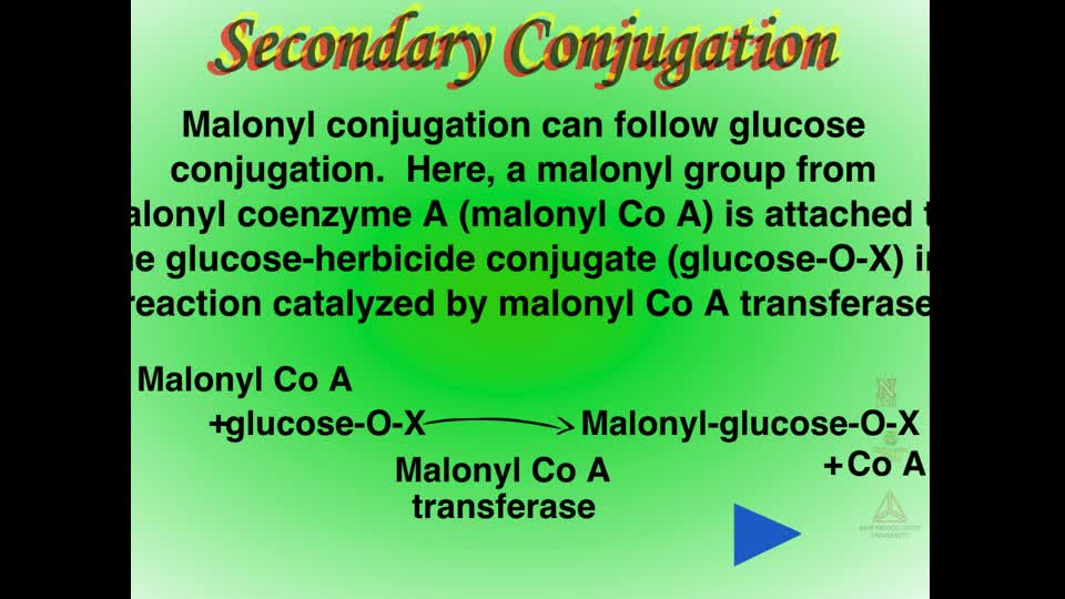 Herbicide Metabolism - Secondary Conjugation