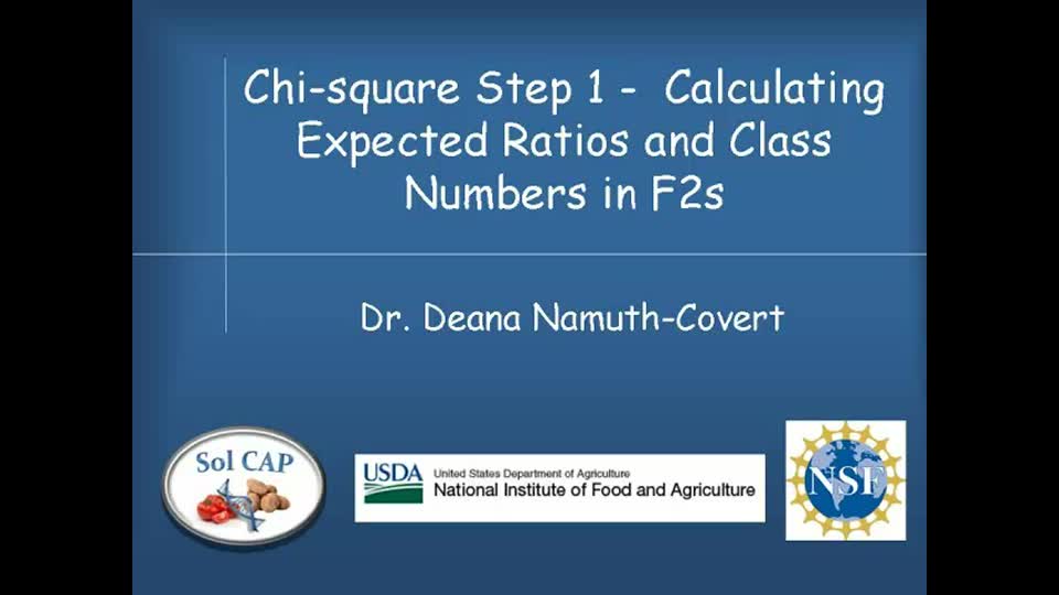 Chi-square Step 1 - Calculating Expected Ratios and Class Numbers in F2s