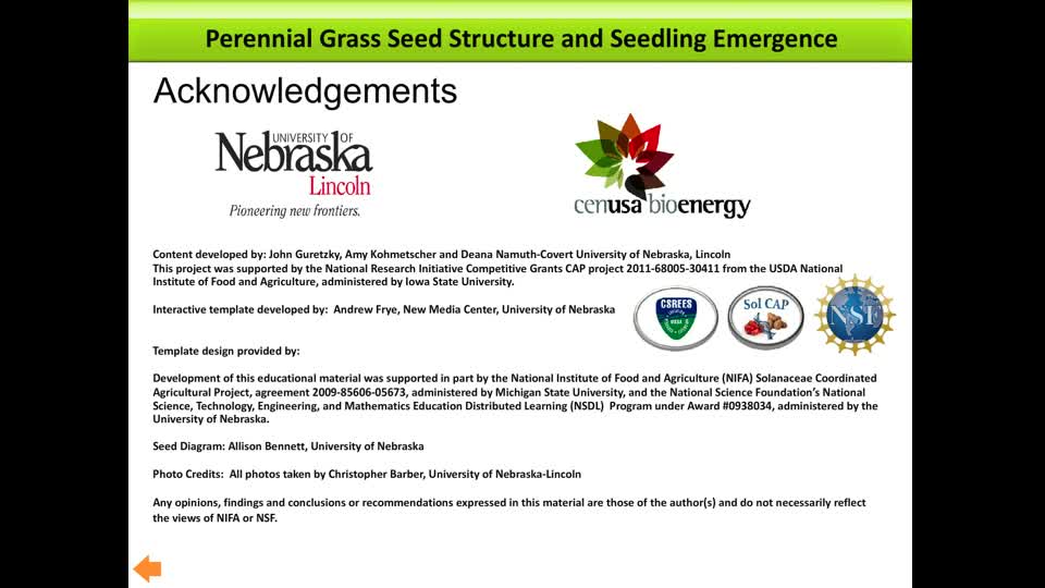 Grass Seed Structure and Seedling Emergence
