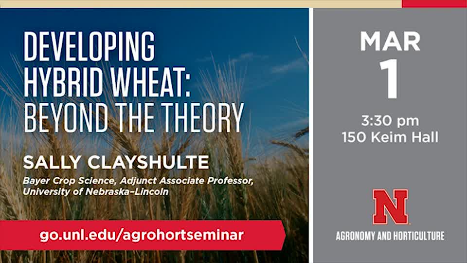 Developing Hybrid Wheat: Beyond the Theory