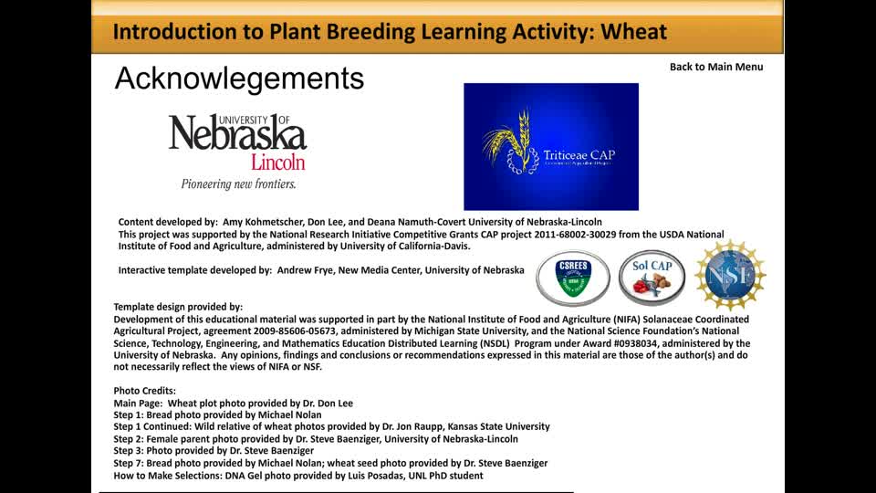 Wheat Breeding Activity