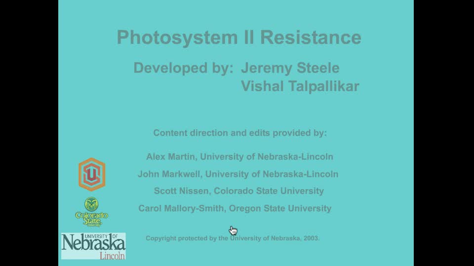 Photosystem II Resistance Animation
