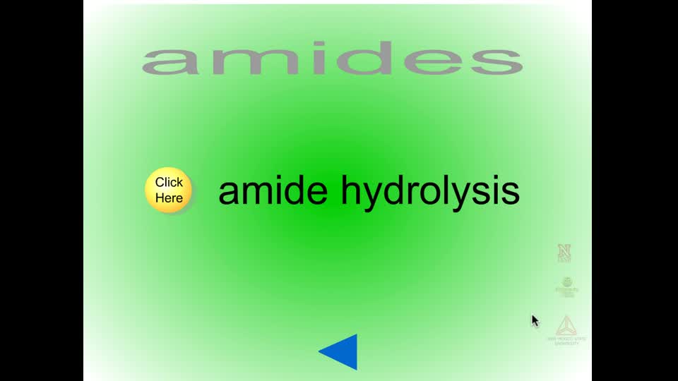 Amide Hydrolysis