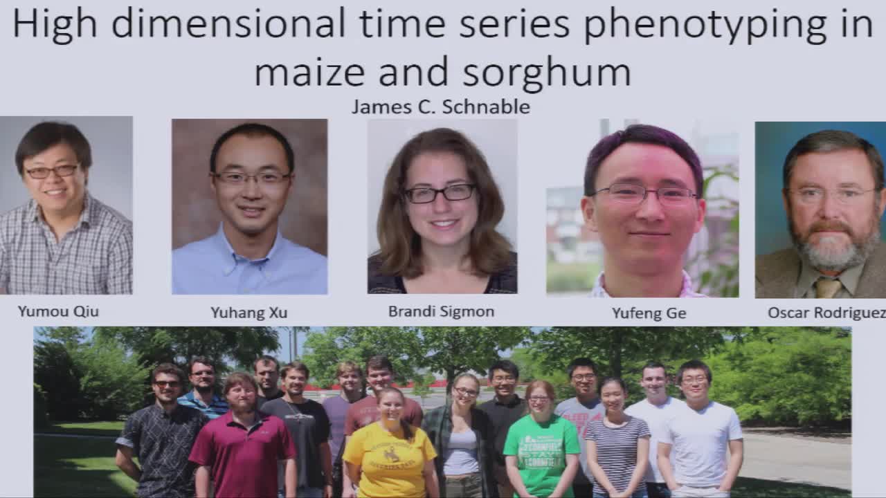 High dimensional time series phenotypic in maize and sorghum