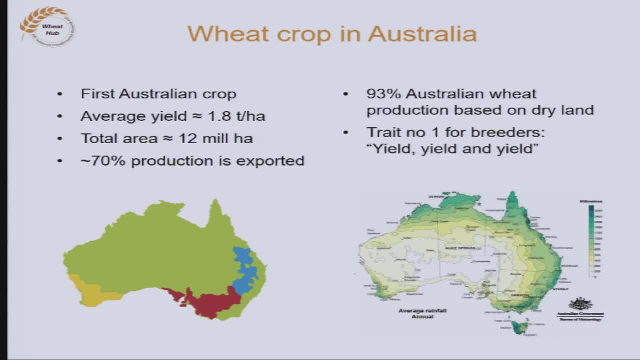 Wheat crop in Australia