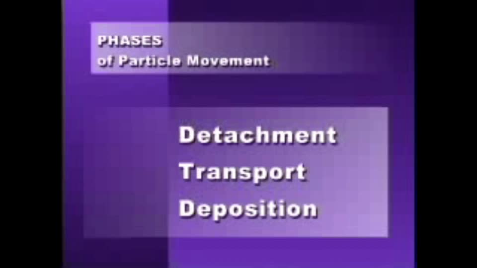 Phases of Particle Movement
