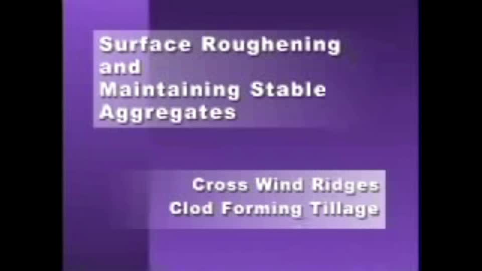 Surface Roughening and Maintaining Stable Aggregates
