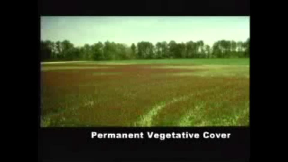 Vegetation or Vegetative Residue