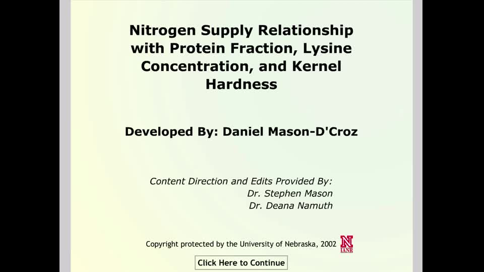 nitrogen supply relationship with protein fraction, lysine concentration, and kernel hardness