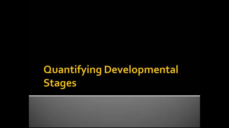 Quantifying Developmental Stages