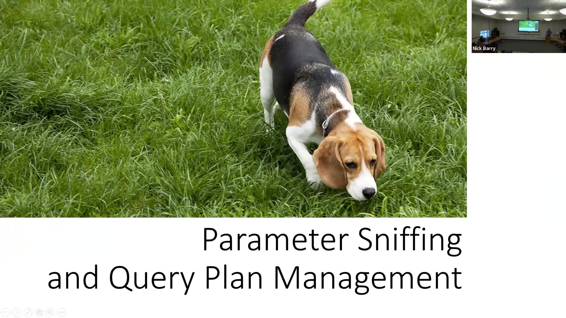 Parameter Sniffing and Query Plan Management in SQL Serve