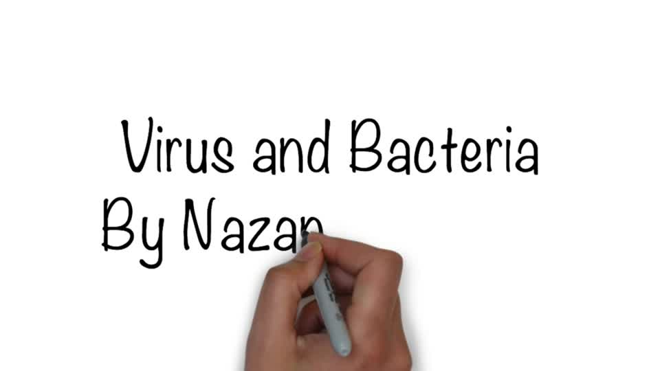 Virus and Bacteria