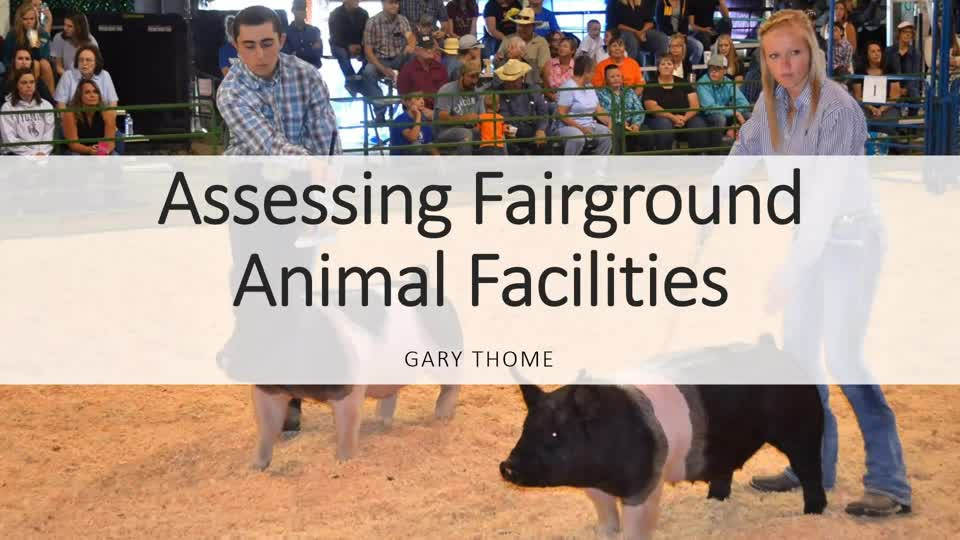 Assessing Fairground Animal Facilities