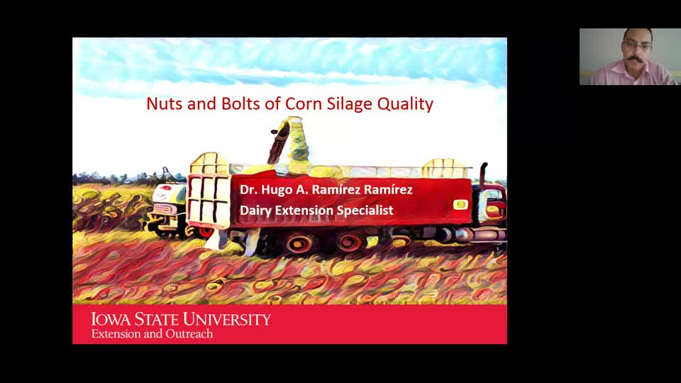 Nuts and Bolts of Corn Silage Quality