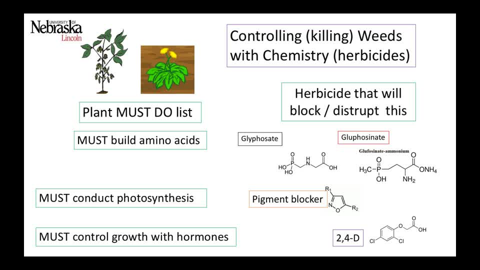 Chemical Control of Weeds