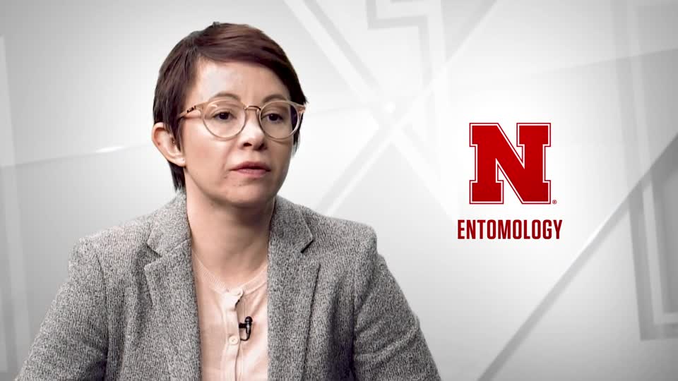 Entomology - Dr. Ana Velez