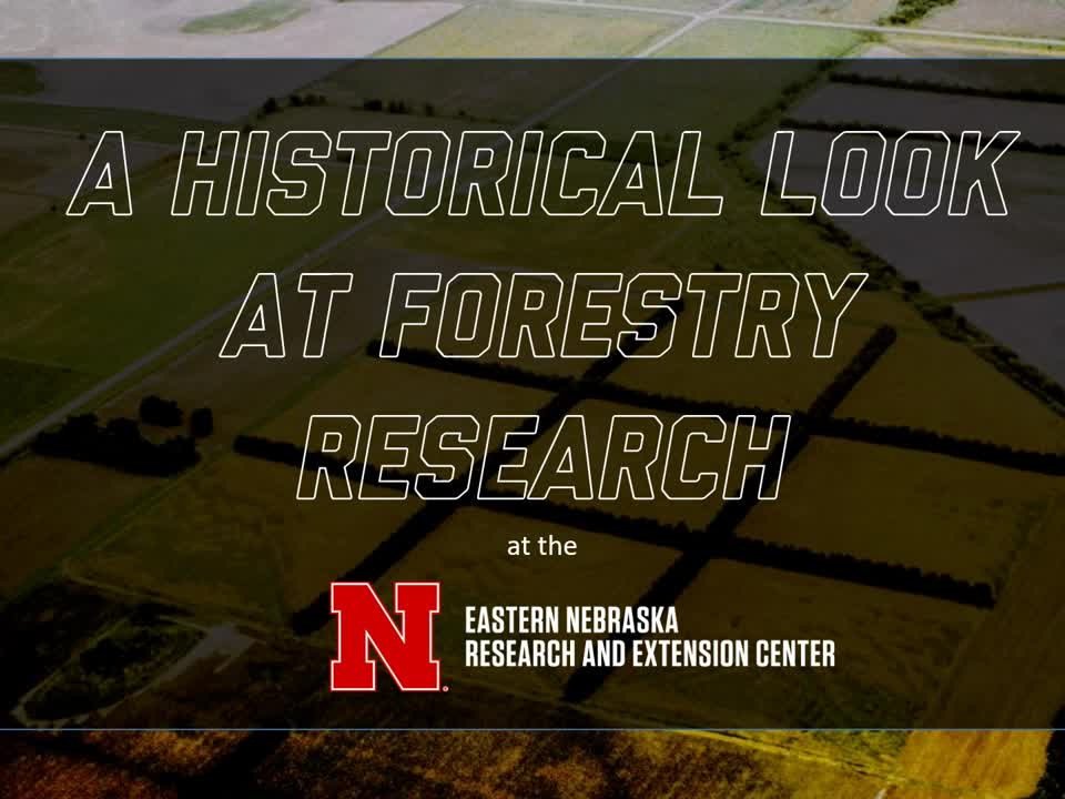 Happy Arbor Day from ENREC - Pictorial look at the history of forestry research at ENREC - https://go.unl.edu/forestryhistory