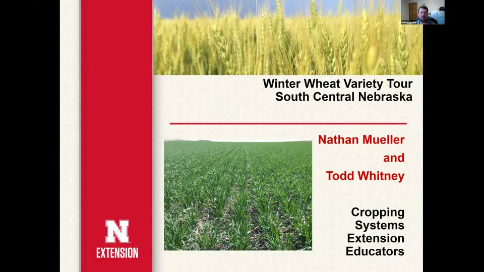 Part 1 - 2020 Winter Wheat Variety Tour for South Central Nebraska: Introduction and overview