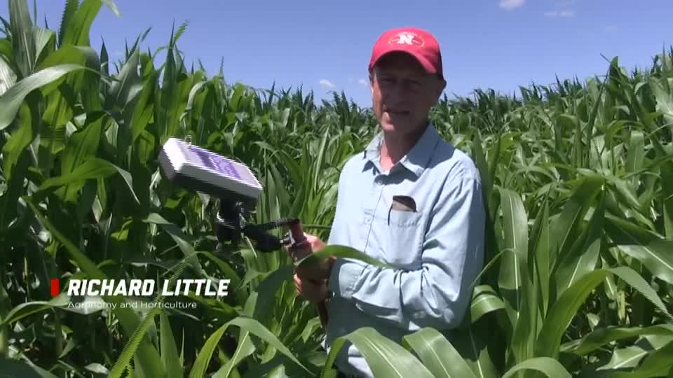 Using Rapid Scan & Lysimeters in Corn Trial