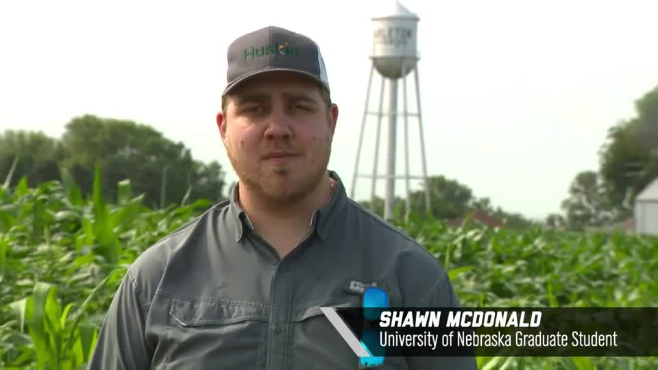 Shawn McDonald – Effects of Row Spacing, 2020 Virtual Field Day for Management of Atrazine, Glyphosate, and ALS Inhibitors-resistant Palmer amaranth in Corn