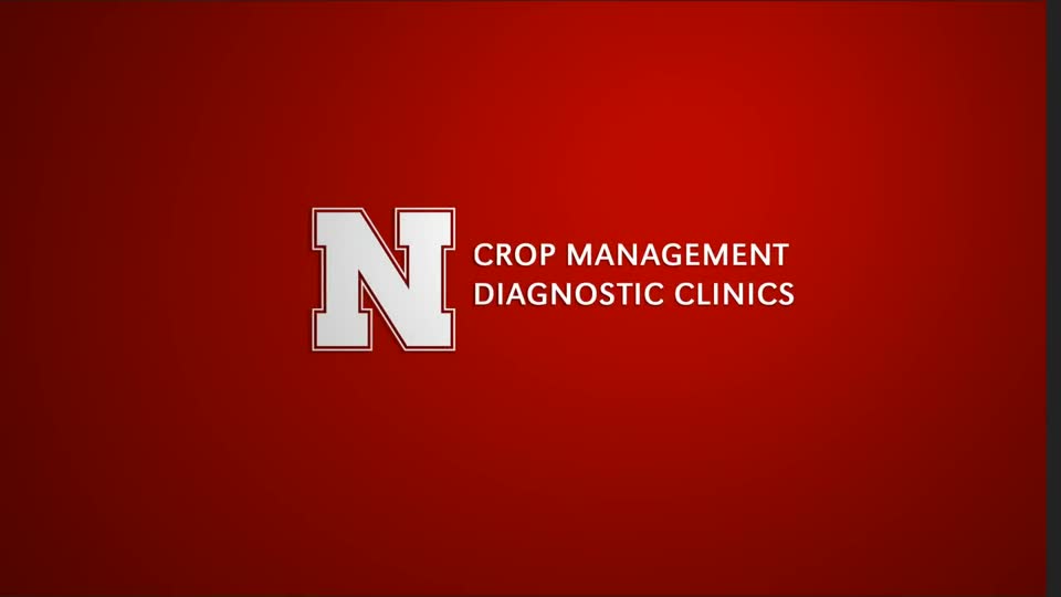 ENREC - Crop Management Diagnostic Clinics