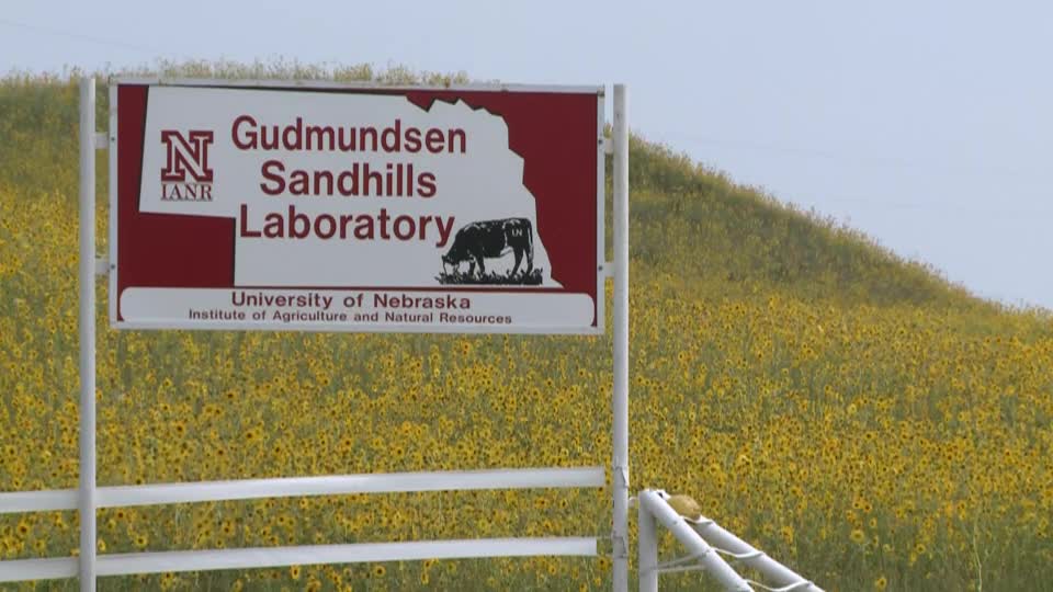 Gudmundsen Sandhills Laboratory