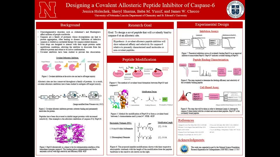 Designing a Covalent Allosteric Peptide Inhibitor of Caspase-6
